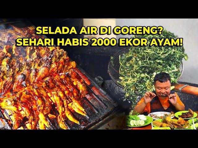 SEHARI HABIS 2000 EKOR AYAM! RAME BANGET SAMPE SUSAH DAPAT TEMPAT DUDUK!