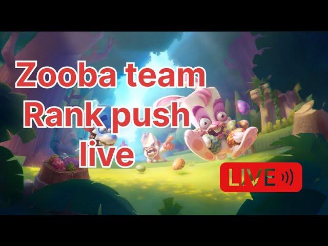 Zooba Team Rank Push Live | Zooba Live Stream | Live | RahulProYT