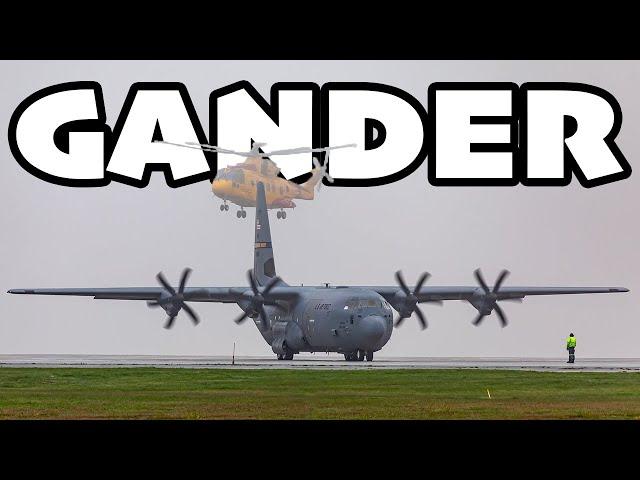 The Crossroads of the World - UNIQUE PLANE SPOTTING at Gander (YQX / CYQX)