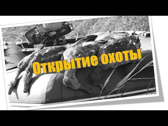 Осенняя охота 2016. Точные выстрелы, досадные промахи и долгожданные трофеи.Утро