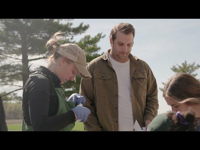 Bovine Leukemia Virus Research Project (Michigan State University AFRE & Animal Science)