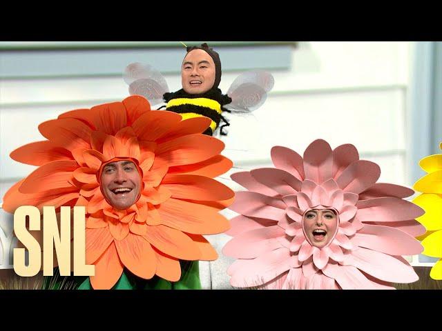 Spring Flowers - SNL