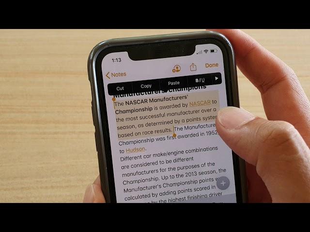 How to Select Text in Four Ways on iPhone 11 / XS / 11 Pro Max