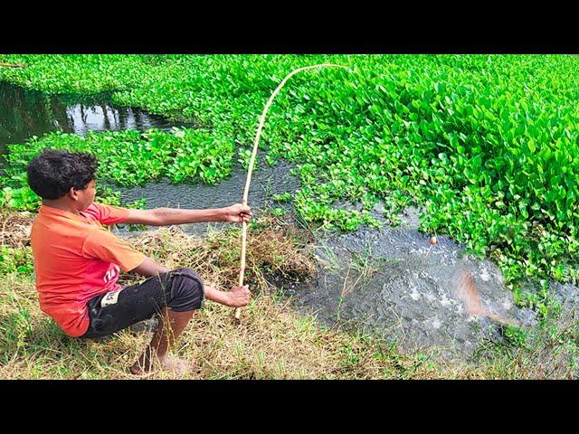 Fishing Video || Anyone will be impressed by the fishing talent of the boy  || Fish hunting