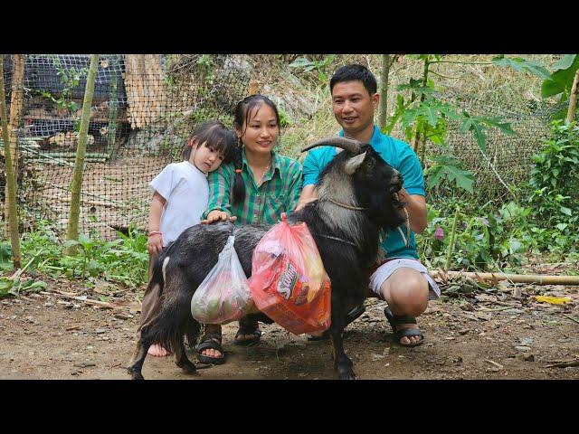 life is fun when smart goat helps make cake ingredients | Ly Phuc An