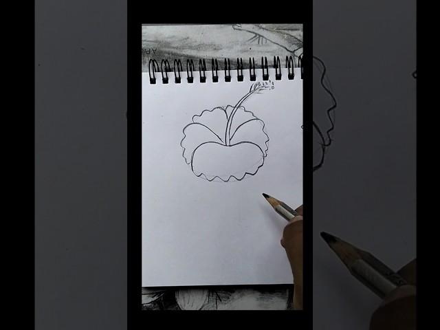 how to draw #shortvideo#hibiscus  #satisfying #hibiscus  #drawing #shortsfeed