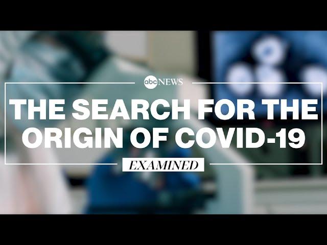 The source of COVID-19: What we know l ABC News