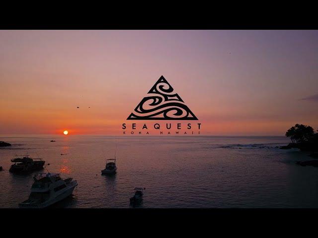 Manta Ray Night Snorkel - Sea Quest Hawaii