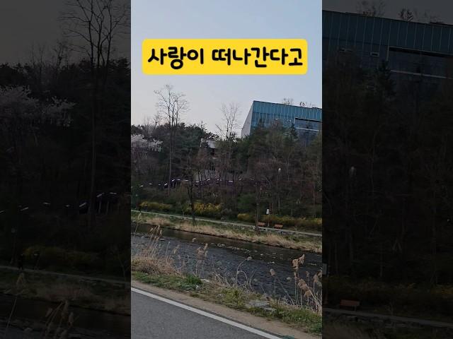 시절인연이어라  #봉숭아학당 #이찬원  #된다잘된다 #신나는노쌤tv #노민주강사