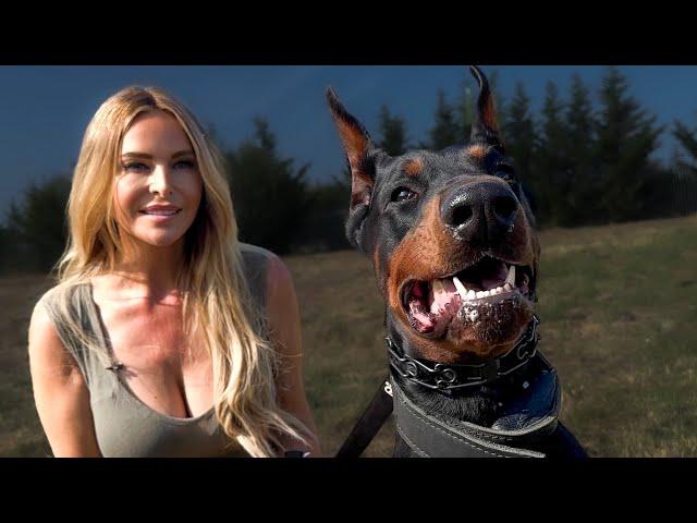 THE DOBERMAN - TRAINED LETHAL PERSONAL PROTECTION DOG