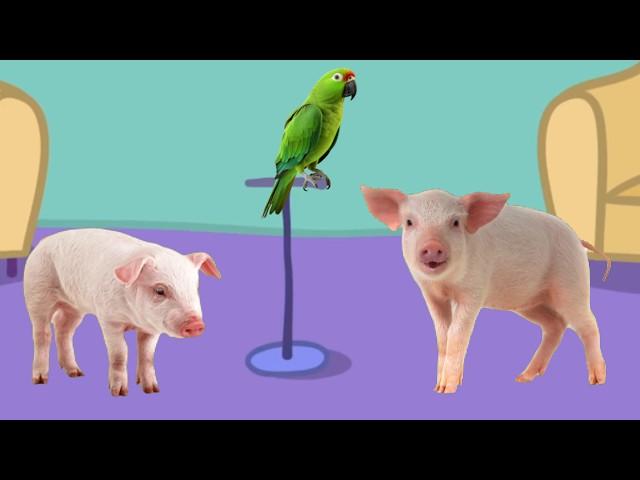 Real life Peppa Pig Parody Episode #4