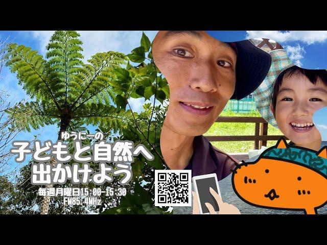 実は猛毒ミフクラギ、沖縄の身近な有毒植物（ゆうにーの子どもと自然へ出かけよう）2024/09/09