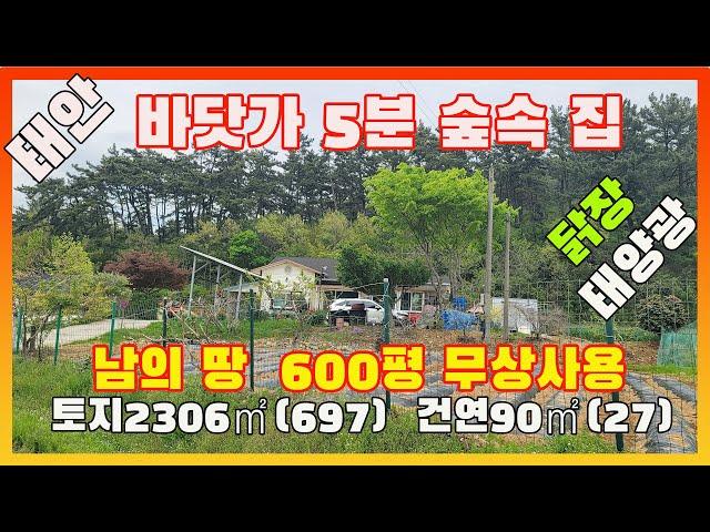 [물건번호2525]태안군 소원면 바닷가 5분거리 남의 밭 500~600평 무상사용 가격싼 집을 소개 합니다, 농사 초보인데 마늘농사 양파농사 박사급으로 지었네요.  귀농 귀촌하여