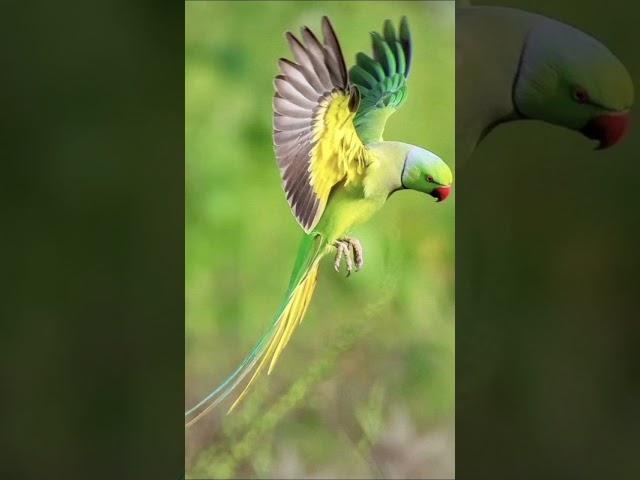 #Haqeeqat Se Bhare Kahani aur kisse #allah#short Islamic story#voice by@Qadir kalhoro