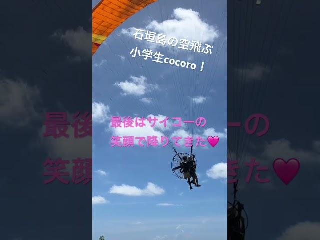 石垣島の空飛ぶ小学生cocoro！ママの友達もタンデム体験#石垣島 #石垣島パラグライダー #パラグライダー #スカイアドベンチャーうーまくぅ