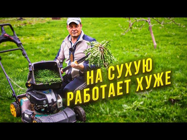 удалитель сорняков FISKARS Solid реальный тест на сухую работает хуже!