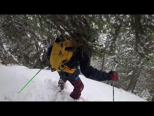 MOGASI OFF-PISTE POWDER DAY