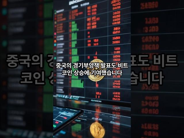비트코인 9000만원 돌바하나?
