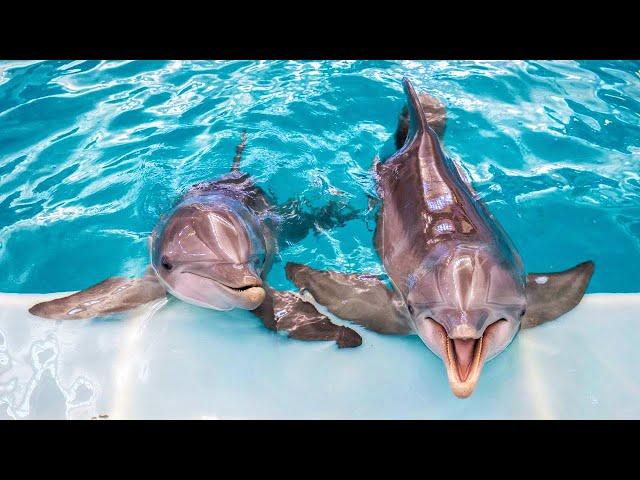 Inside Clearwater Marine Aquarium - Clearwater, Florida