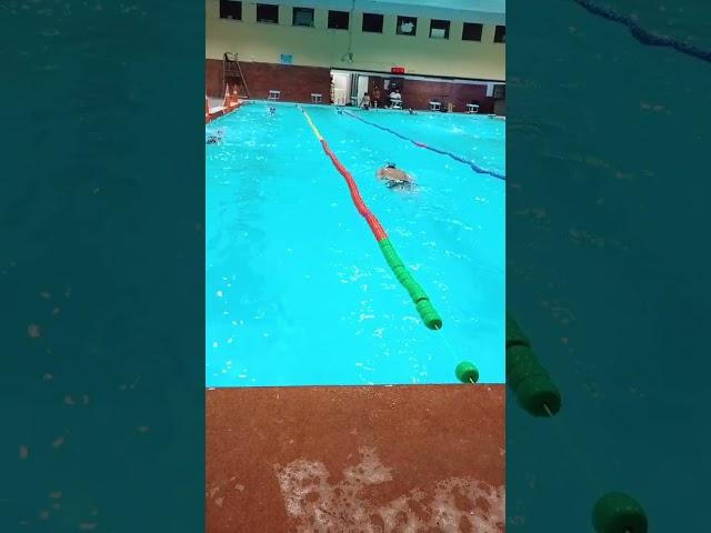 #swimming #freestyleswim #swimmingpool #swimmingstyle #swim #goswim