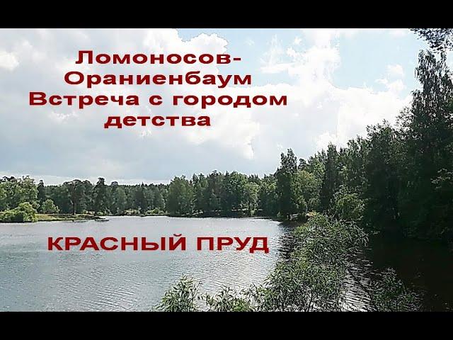 Ломоносов - Ораниенбаум. Встреча с городом детства. 12 июня 2024 г. Красный пруд