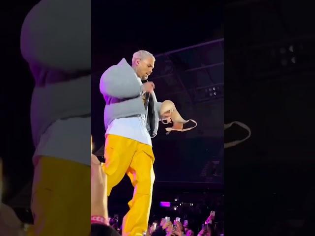 Girl throws a Bra at Chris Brown on Stage