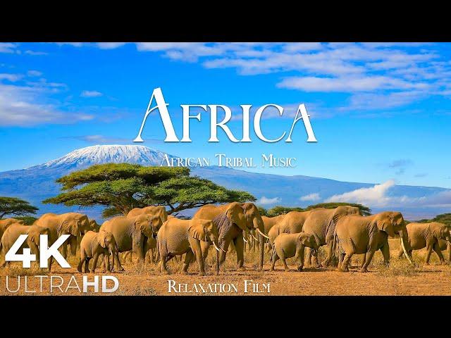 AFRICA 4K • Breathtaking Wildlife, Tribal Music - Relaxation Film - Nature 4k Video UltraHD