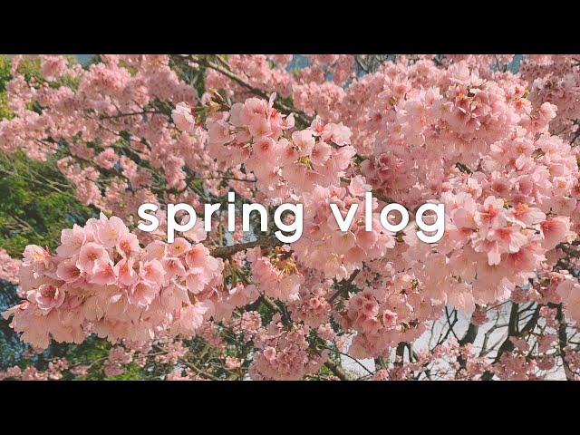 Spring in Japan vlog, I bought plants!