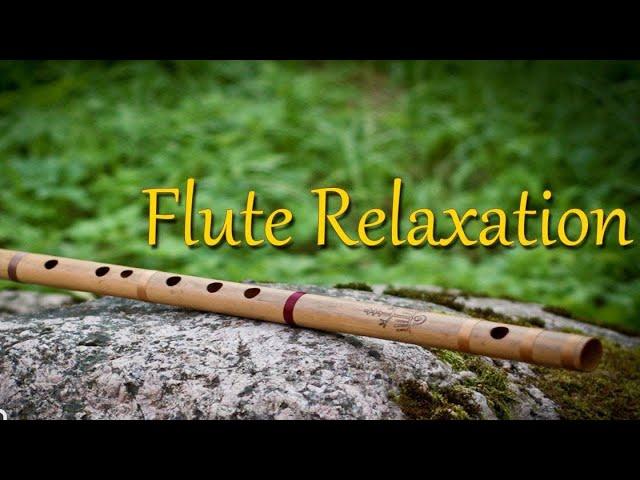 Nature Bird || Bambo Flute|| Morning relaxing Music || © Copyright Free No Copyright || Flute Sujan