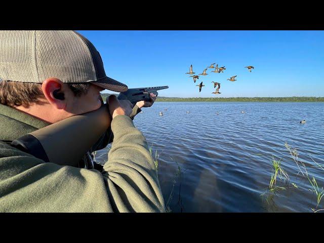 Duck Hunting Opening Day Teal 2024! (Catch Clean Cook)