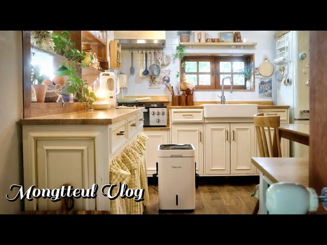 Vlog | Essential items for making a comfortable kitchen,  Reencle Gravity Food Disposer