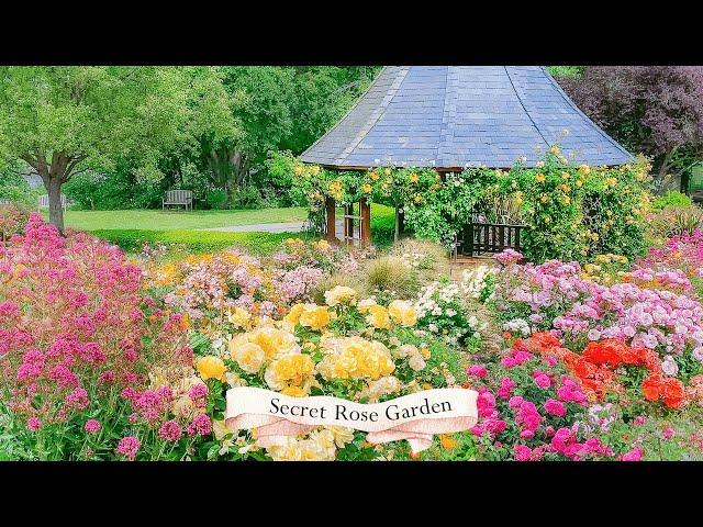 Step Inside a Secret Rose Garden  so Beautiful in the Spring | 4K Garden Tour