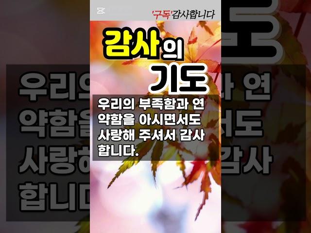 감사의 기도 #감사의기도 #주님께드리는감사의기도#은혜의기도