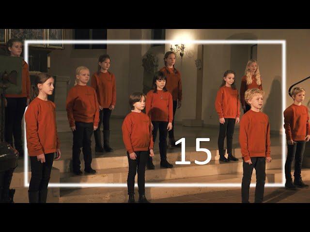 15. Türchen  "Als ich bei meinen Schafen wacht" | Kinderchor der Marktkirche Hannover