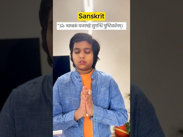 How many languages do you speak? #english #bengali #german #sanskrit #hindi