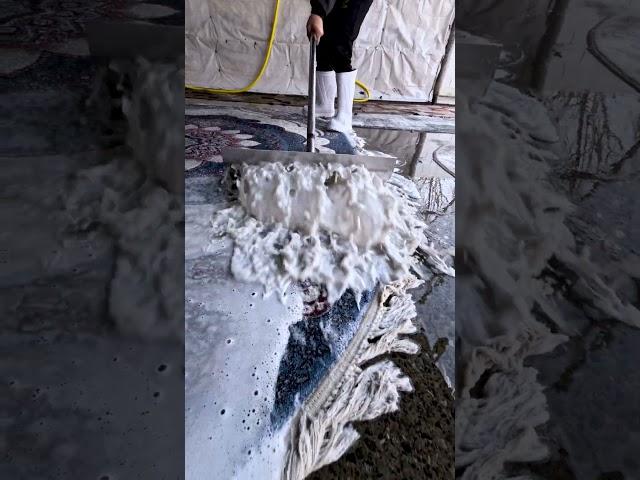 Dirty Carpet Watch This Deep Clean Process!  #satisfying #aladdin #relax