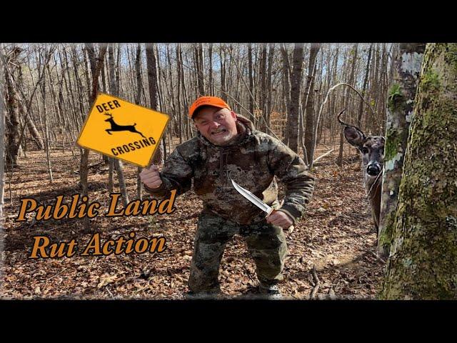 Almost Ran Over!!!!- Alabama Public Land Rutting Action; Proof Deer Calls Work!!!!