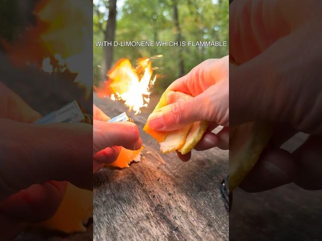 Fire from an Orange                                #fire #orange #survival