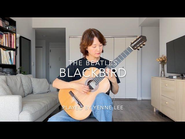 Beatles - Blackbird - classical guitar cover by Yenne Lee