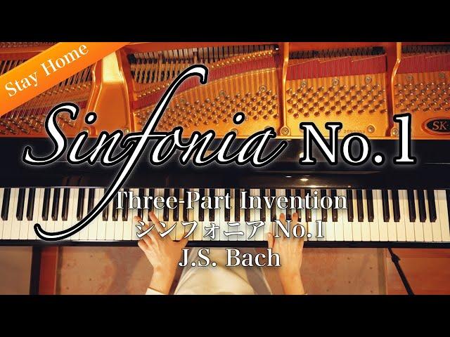 J.S.Bach - Sinfonia No.1 in C Major, BWV 787, from Three-Part Invention