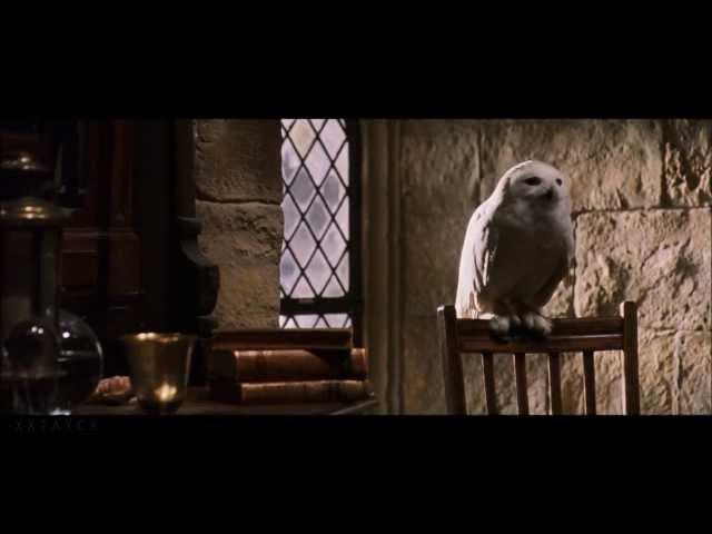 Harry Potter and the Christmas Flashback (HQ)