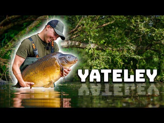 I Dreamt Of This Moment!  | Carp Fishing Yateley | PLUS NEW TACKLE