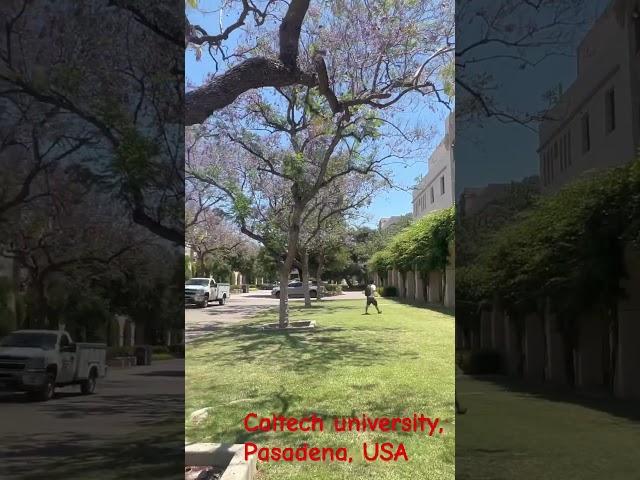 Caltech university,Pasadena, CA, 