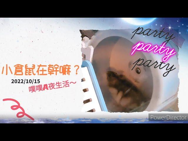 小倉鼠在幹嘛？噗噗A夜生活~party time［字幕版］@天使女兒魔法媽吃貨爸