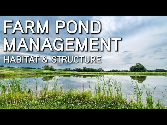 Farm Pond Management | Improve Habitat And Structure | With Dr. Brian Graeb