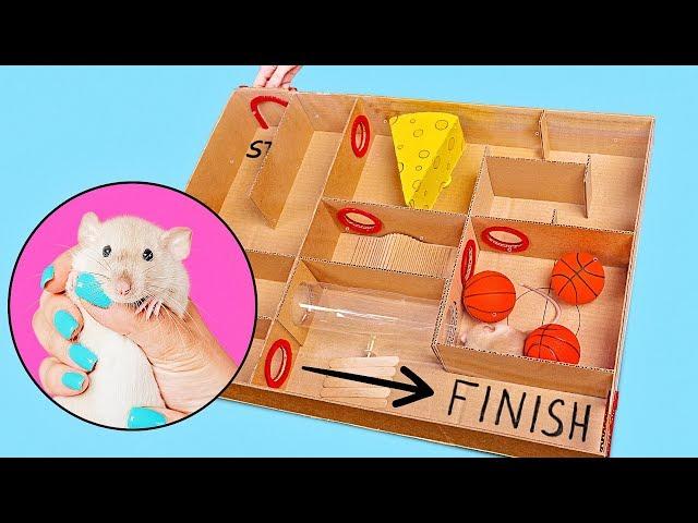 How to Build Creative Labyrinth for Rat