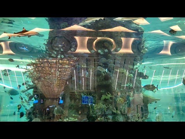 World Largest Aquarium @Jeddah Airport Saudi Arabia