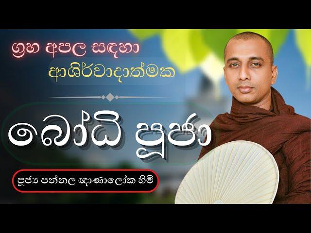 මහා බලසම්පන්න ආශිර්වාද බෝධි පුජා | Bodhi Pooja |  Bodi Puja