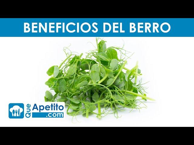 8 Propiedades y Beneficios del BERRO  | QueApetito