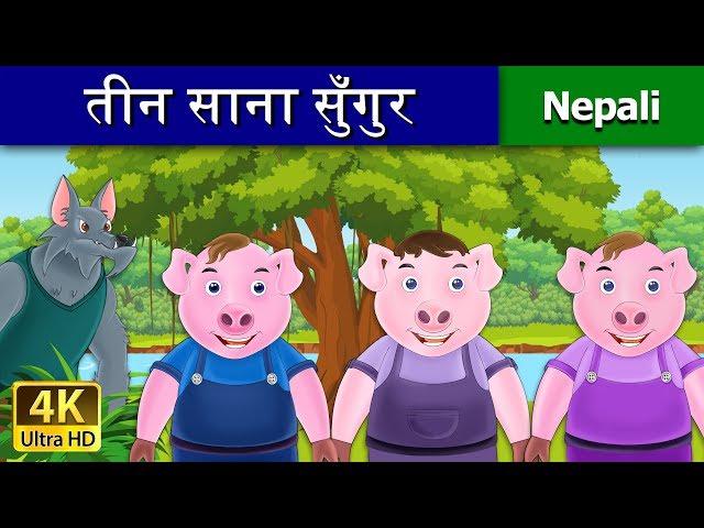 तीन साना सुँगुर | Three Little Pigs in Nepali | Nepali Story | Nepali Fairy Tales